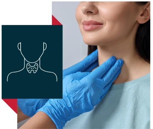 Thyroid & Breast Surgery